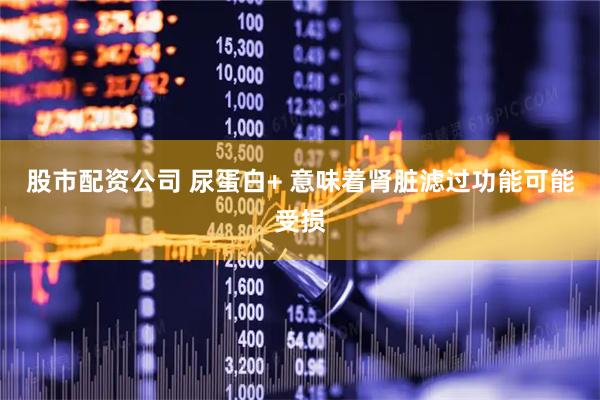 股市配资公司 尿蛋白+ 意味着肾脏滤过功能可能受损