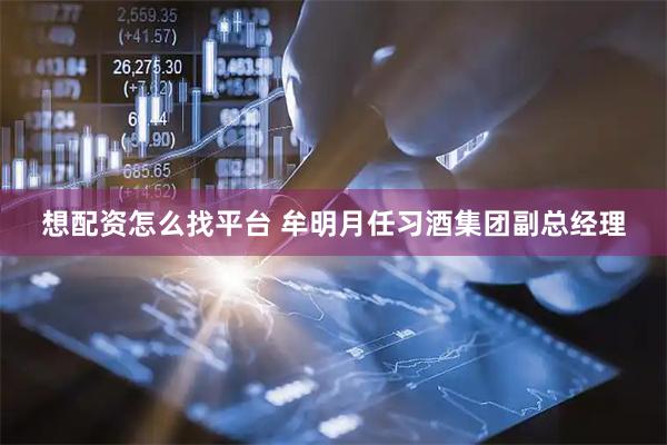 想配资怎么找平台 牟明月任习酒集团副总经理